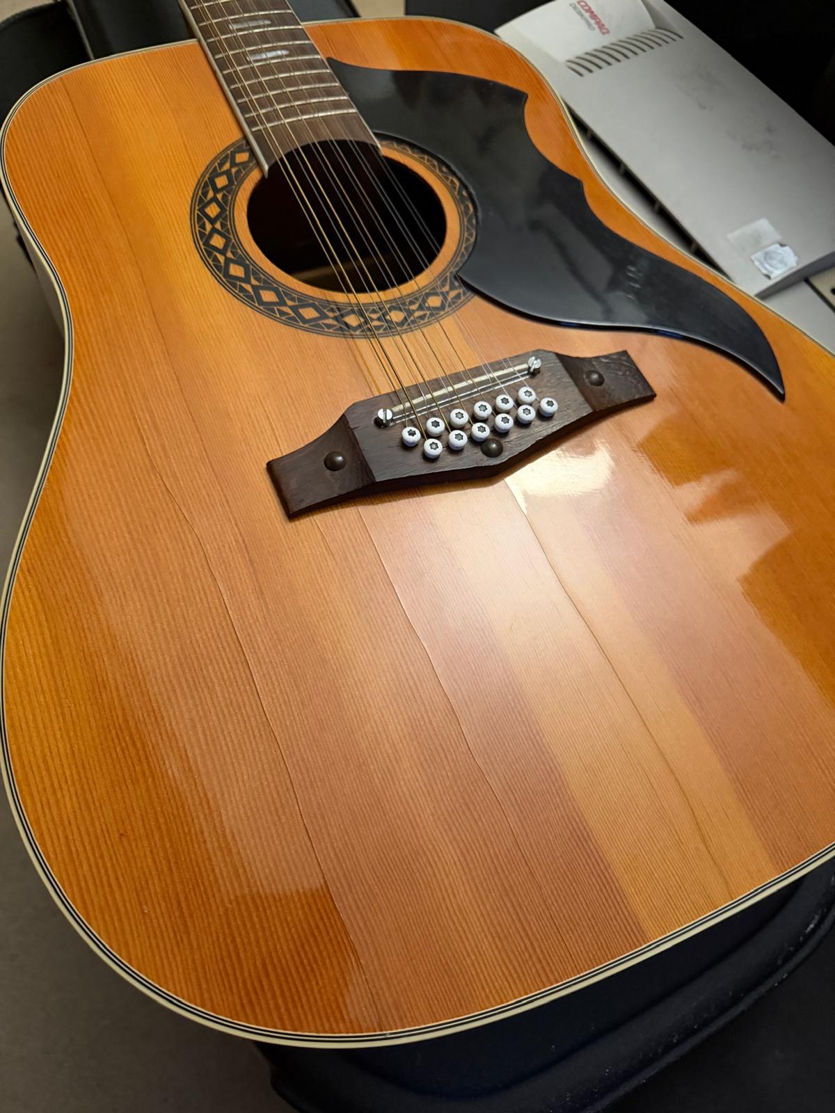 EKO 12 String guitar 