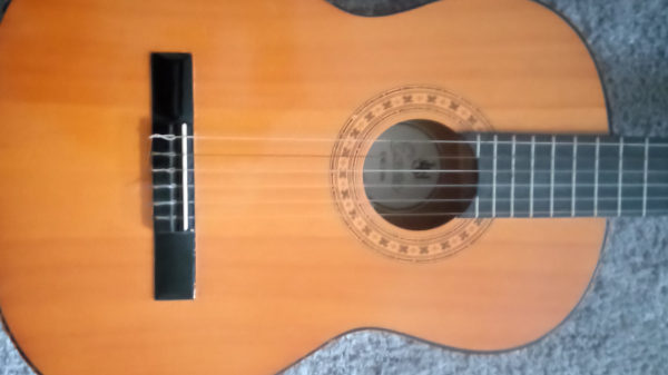 JHS/Encore guitar