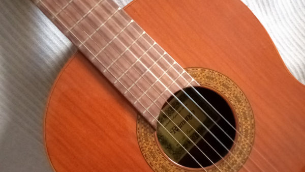 Raimundo Guitar
