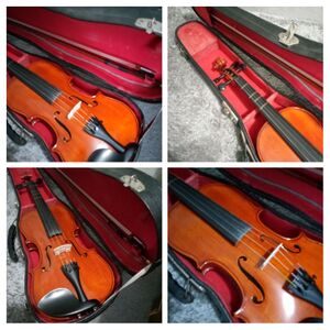 Violin